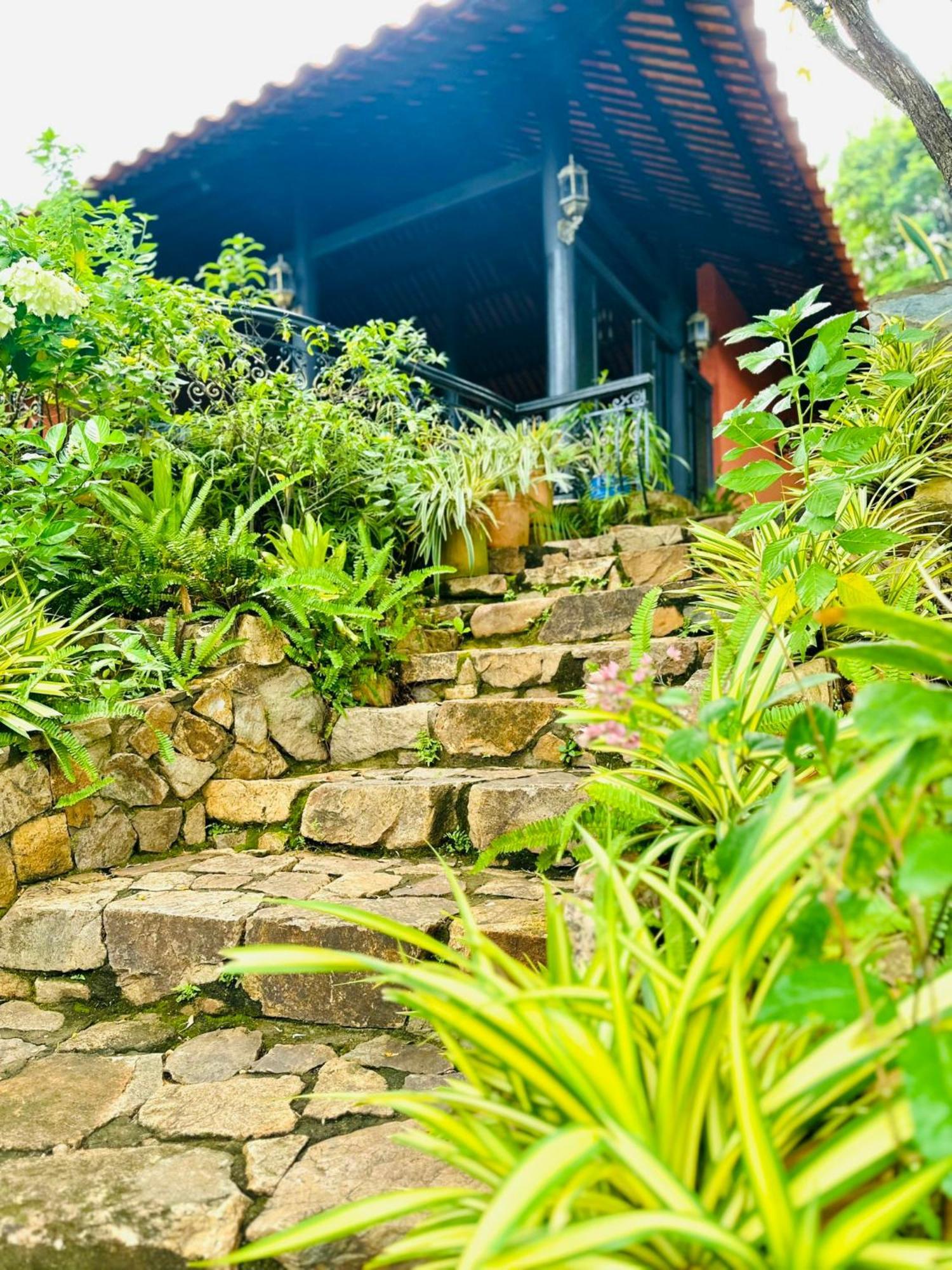 Binh An Village Вунгтау Экстерьер фото
