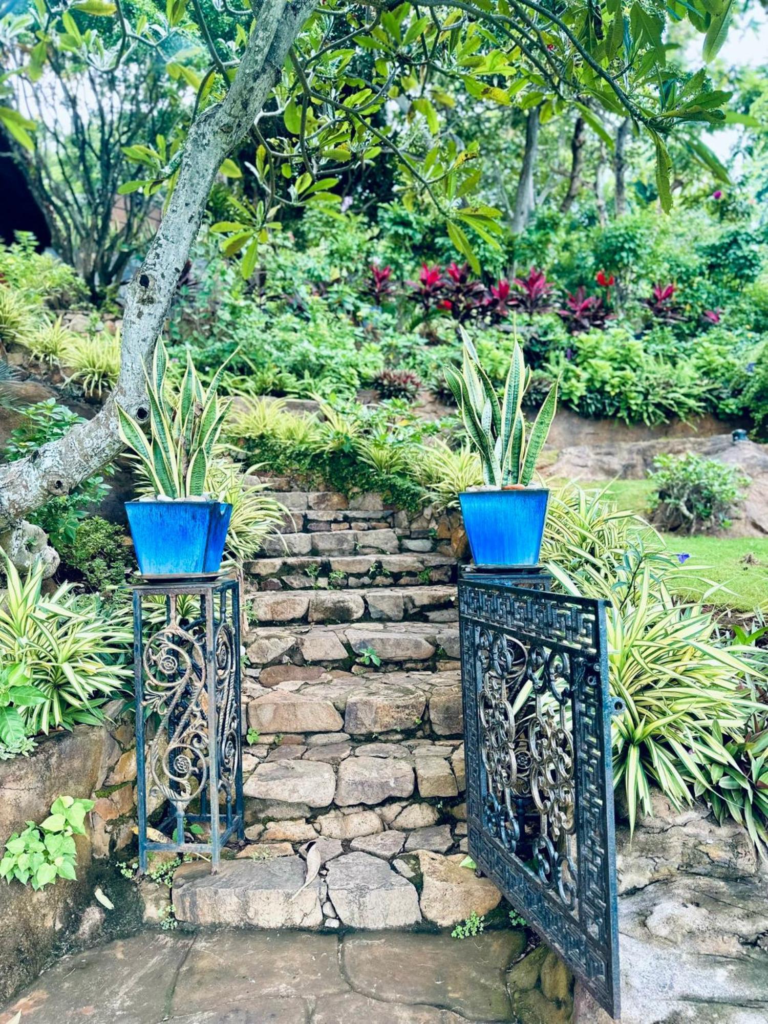 Binh An Village Вунгтау Экстерьер фото